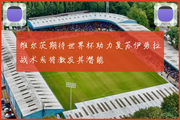 维尔茨期待世界杯助力复苏伊劳拉战术或将激发其潜能